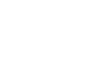 Логотип клиента WeWizards