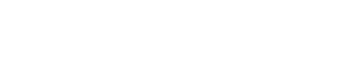 Логотип клиента WeWizards